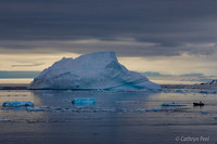 IMG_0432.jpg